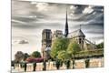 Photographic Print
