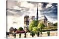 Stretched Canvas Print