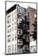 Premium Photographic Print
