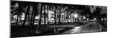 Photographic Print