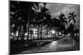 Photographic Print