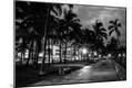 Photographic Print