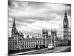 Photographic Print