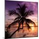 Premium Photographic Print