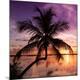 Premium Photographic Print