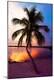 Premium Photographic Print