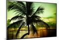 Premium Photographic Print