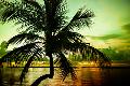 Premium Photographic Print