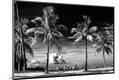 Premium Photographic Print
