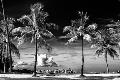 Premium Photographic Print