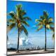 Premium Photographic Print