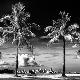 Premium Photographic Print