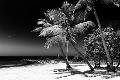 Premium Photographic Print