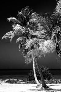 Key West, FL Black and White Photography Art: Prints, Paintings ...