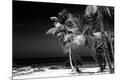 Premium Photographic Print
