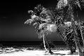 Premium Photographic Print
