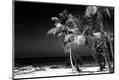Premium Photographic Print