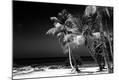 Photographic Print