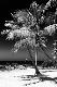 Premium Photographic Print