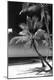 Premium Photographic Print