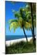 Premium Photographic Print