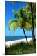 Premium Photographic Print