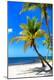 Premium Photographic Print