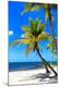 Premium Photographic Print