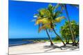 Premium Photographic Print