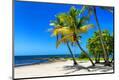 Premium Photographic Print