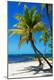 Premium Photographic Print