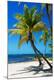 Premium Photographic Print