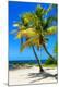 Premium Photographic Print