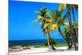 Premium Photographic Print