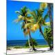 Premium Photographic Print