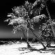 Premium Photographic Print
