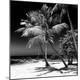 Premium Photographic Print