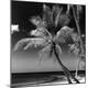 Premium Photographic Print