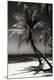 Premium Photographic Print