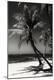 Premium Photographic Print