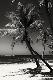 Premium Photographic Print
