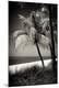 Premium Photographic Print