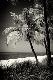 Premium Photographic Print
