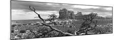 Photographic Print