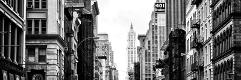 Premium Photographic Print