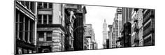 Photographic Print