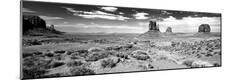 Photographic Print