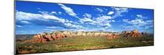 Photographic Print