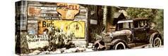 Stretched Canvas Print