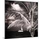 Premium Photographic Print